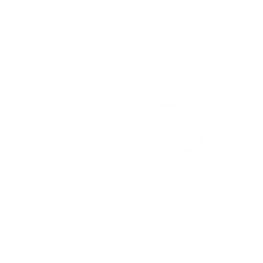 white icon of two bones coming together and a medical symbol