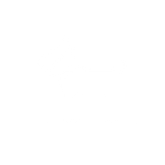 white icon of a dog wearing a post-surgery cone