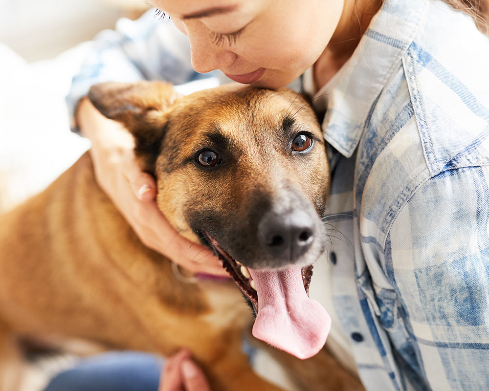 young woman embracing a happy brown shorthaired dog