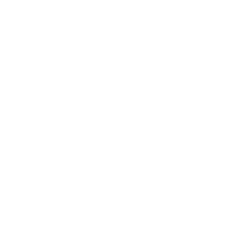 Online form icon